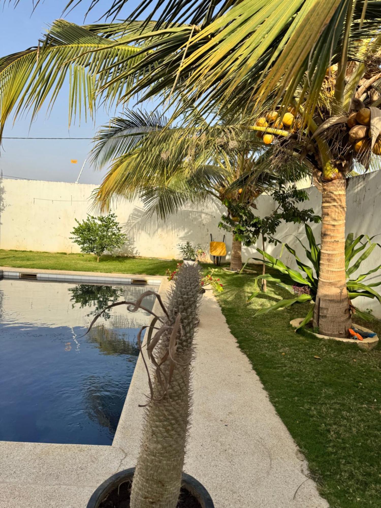 La Baraka, Extravagant Villa For 8 With Pool In Saly Gandigal Bagian luar foto